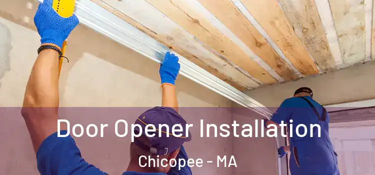  Door Opener Installation Chicopee - MA