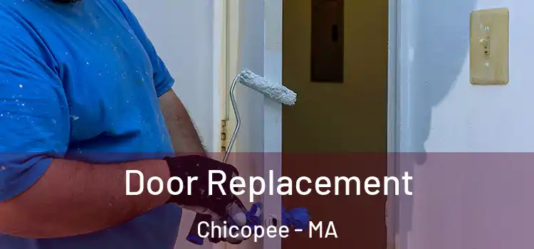  Door Replacement Chicopee - MA