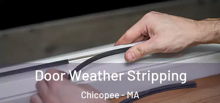 Door Weather Stripping Chicopee - MA