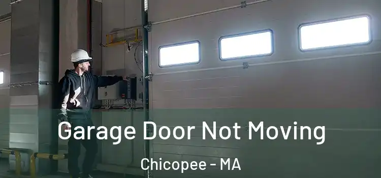  Garage Door Not Moving Chicopee - MA
