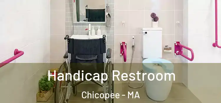  Handicap Restroom Chicopee - MA