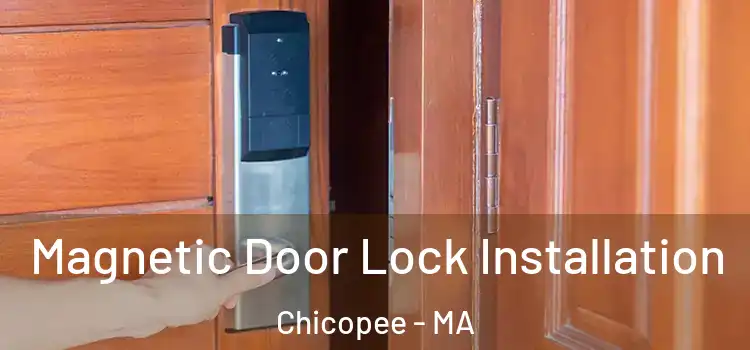  Magnetic Door Lock Installation Chicopee - MA