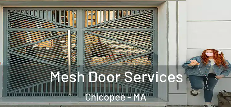 Mesh Door Services Chicopee - MA