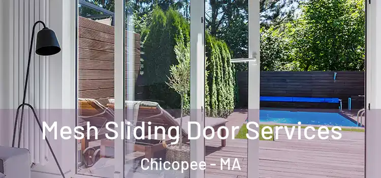  Mesh Sliding Door Services Chicopee - MA