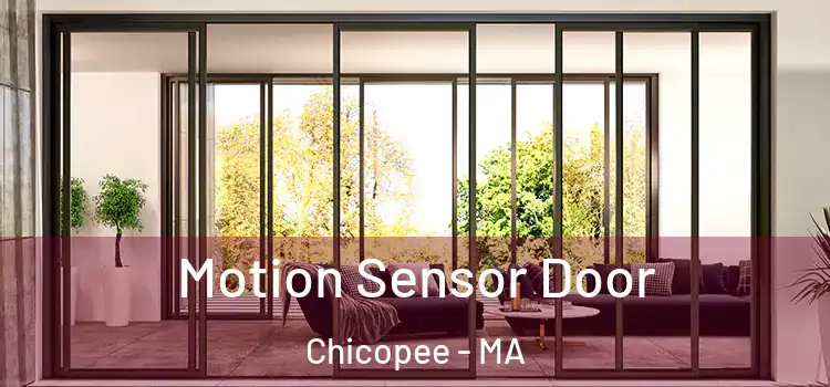 Motion Sensor Door Chicopee - MA
